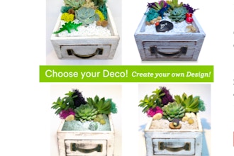 Plant Nite: Choose your Deco - Wood Drawer